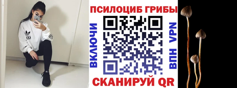 Галлюциногенные грибы прущие грибы цены Таганрог